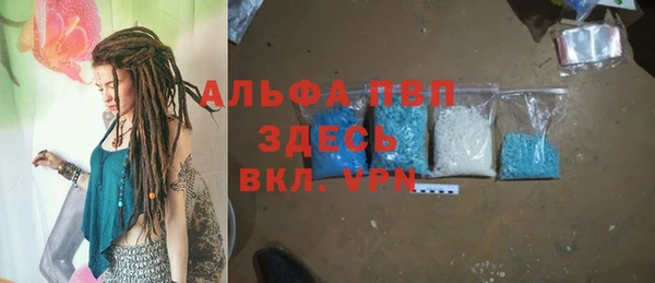 дживик Бородино