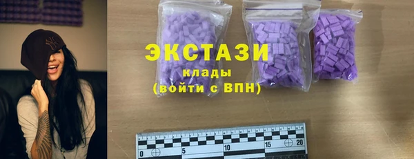 дживик Бородино