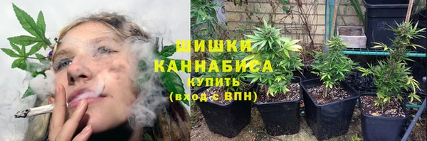 дживик Бородино
