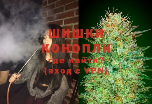 дживик Бородино