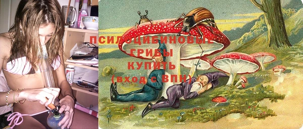 дживик Бородино