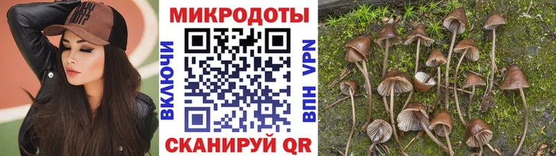 Галлюциногенные грибы Psilocybine cubensis  Горняк 